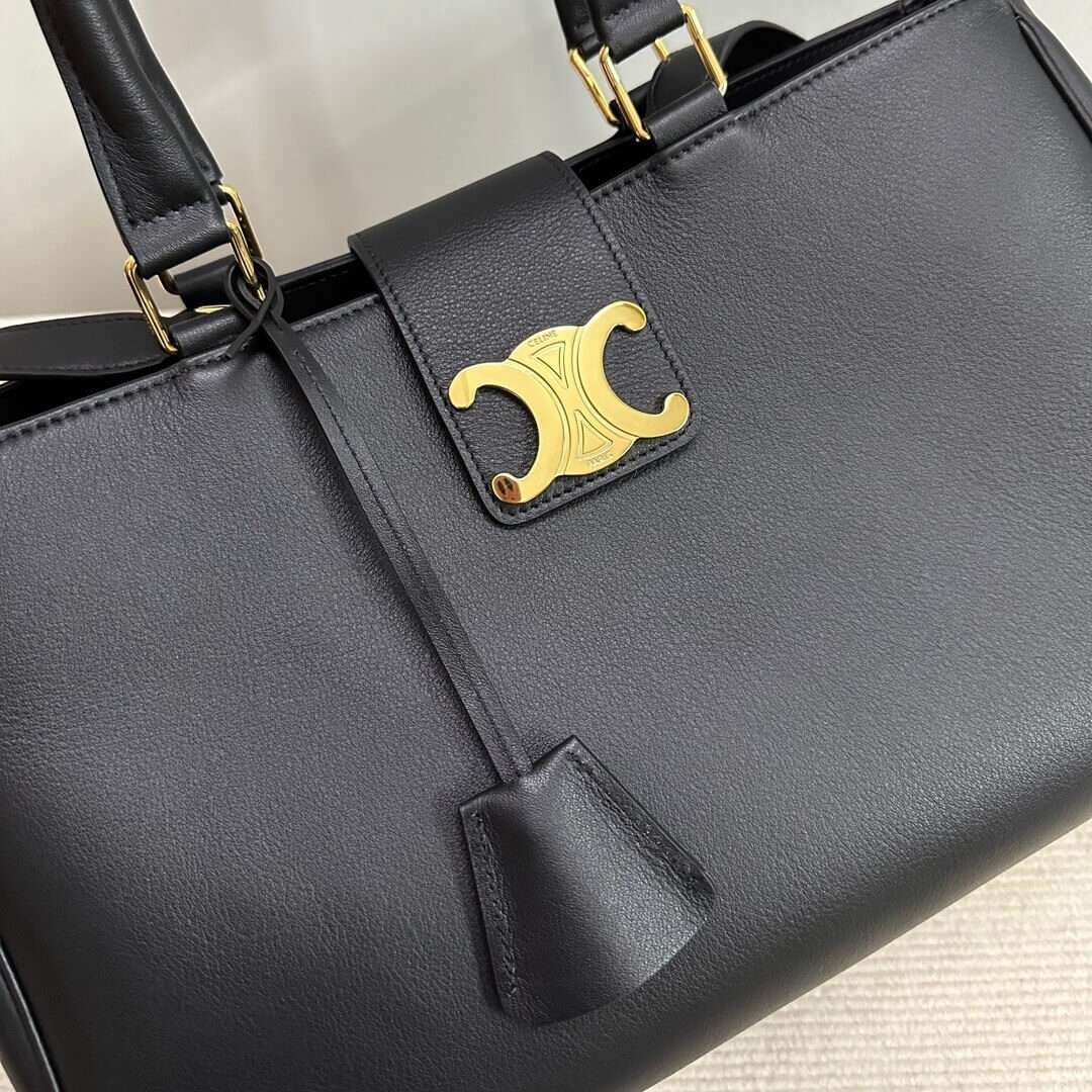 CELINE MEDIUM APPOLINE BAG IN SUPPLE CALFSKIN 114963FK6.31GC