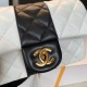 CHANEL MINI FLAP BAG A69900