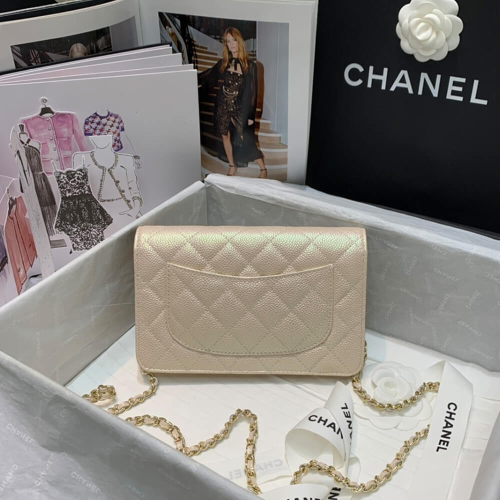 CHANEL Wallet On Chain AP0250