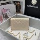 CHANEL Wallet On Chain AP0250