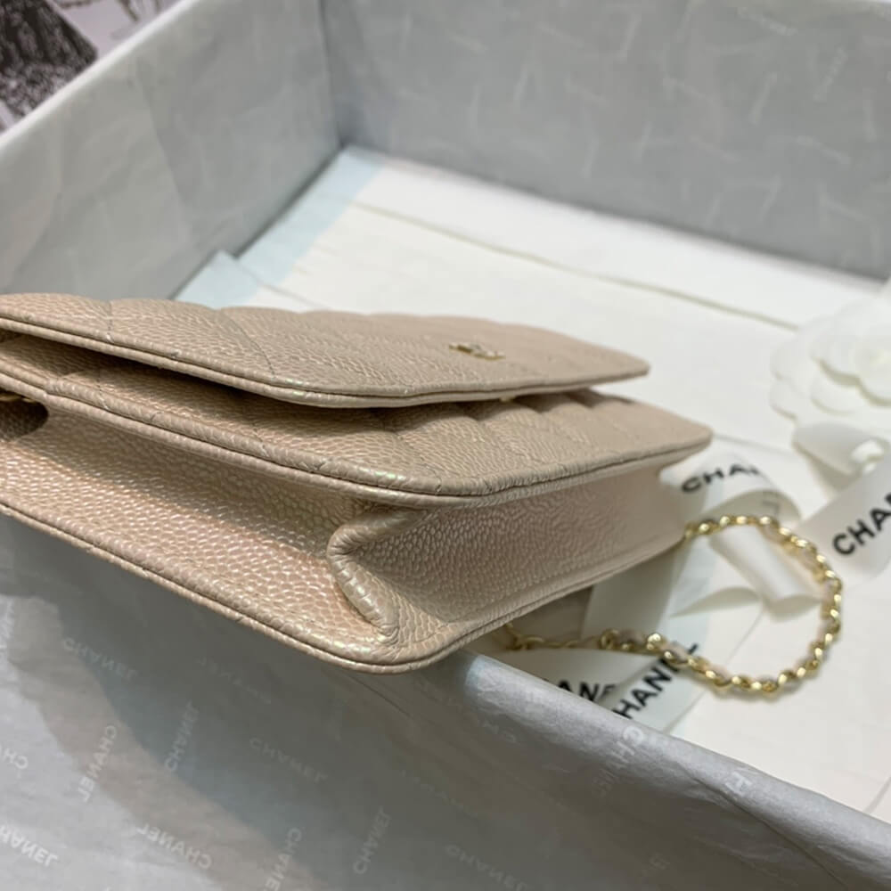 CHANEL Wallet On Chain AP0250