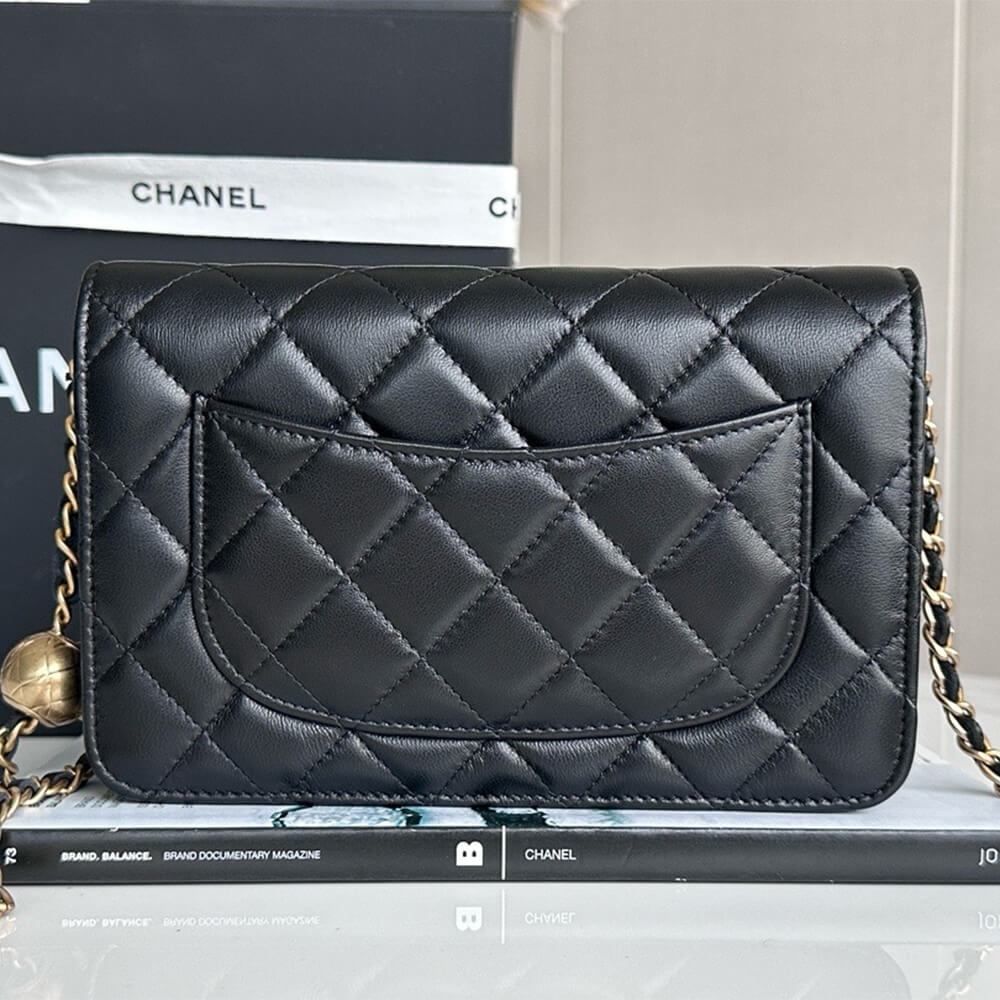 Chanel WOC fortune bag 