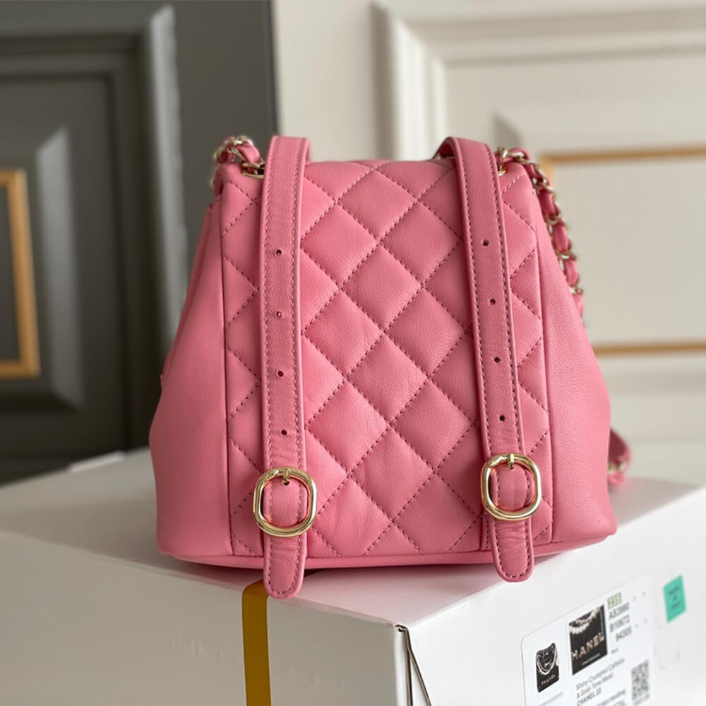 Chanel backpack PM 