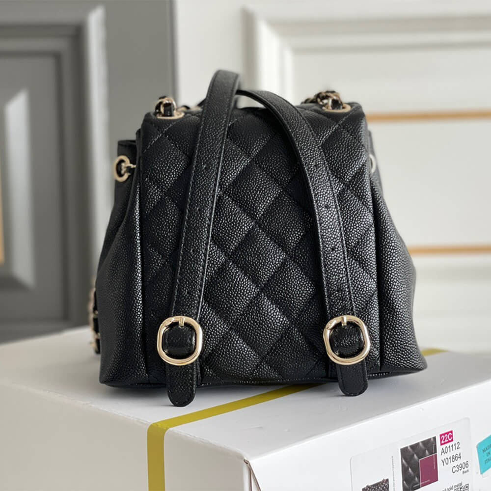 Chanel backpack PM 