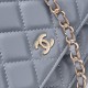 Chanel classic chain wallet AP0250