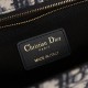 DIOR 30 MONTAIGNE BAG M9203UTZQ_M928