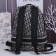 DIORTRAVEL BACKPACK 