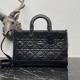 Dior Large Lady D-Sire Bag M1152SNIO_M900