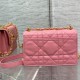 Dior MISS CARO MINI BAG S5169UDAX_M92P