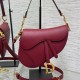 Dior Saddle Bag with Strap M0455