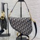 Dior Saddle Bag with Strap M0455