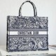 LARGE DIOR BOOK TOTE 