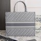 LARGE DIOR BOOK TOTE 