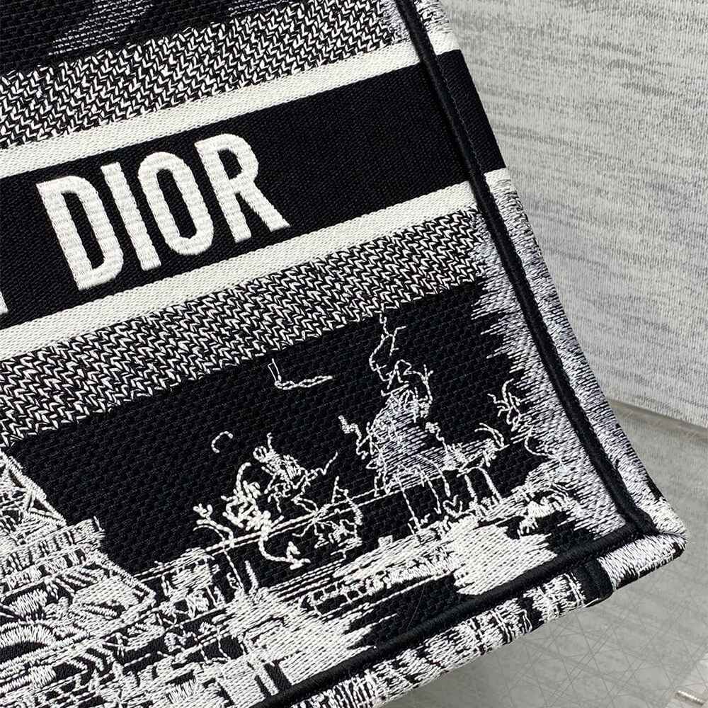 Medium Dior Book Tote M1296ZEGG_M911