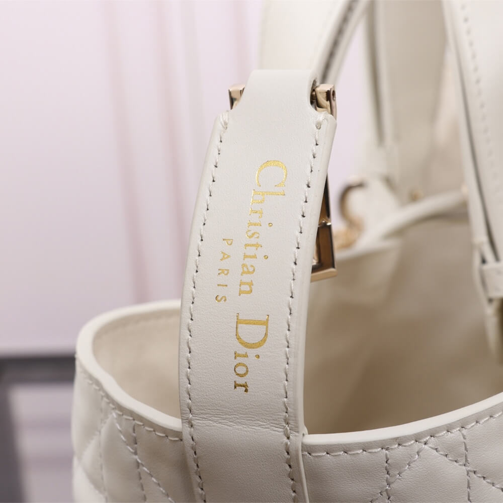 Medium Dior Toujours Bag M2821