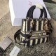 Medium LADY D-LITE handbag