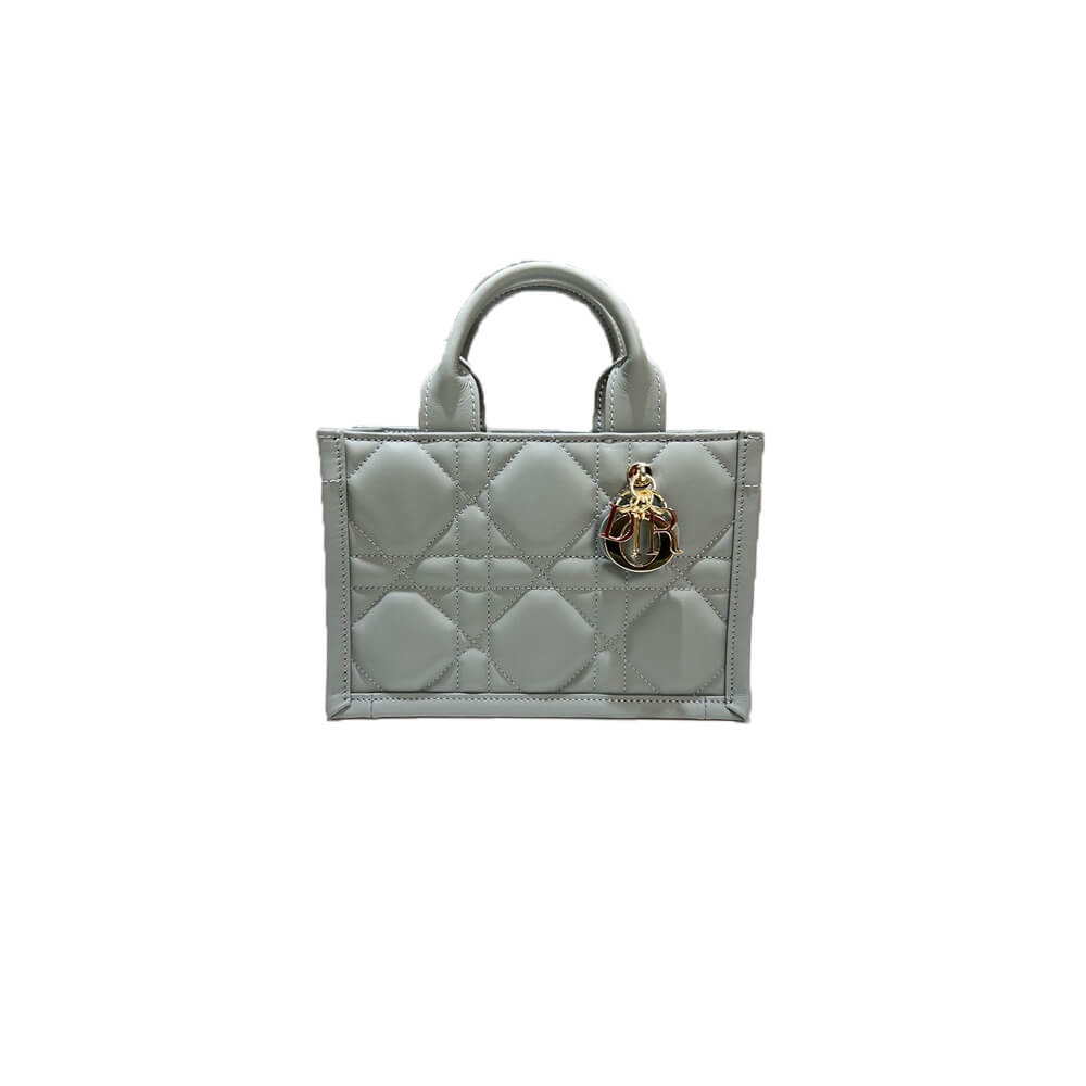 Mini Dior Book Tote S5573OWHP_M030