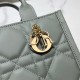 Mini Dior Book Tote S5573OWHP_M030