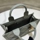 Mini Dior Book Tote S5573OWHP_M030