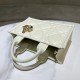 Mini Dior Book Tote S5573OWHP_M030