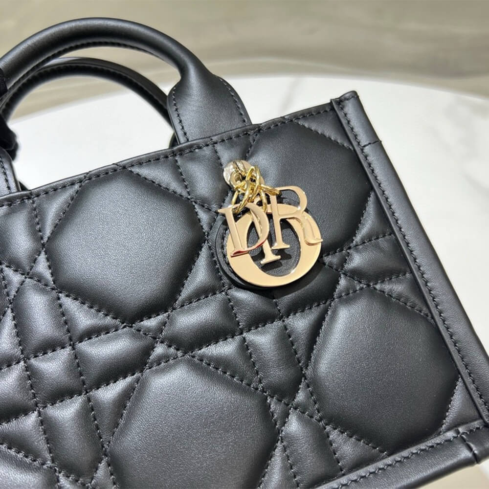 Mini Dior Book Tote S5573OWHP_M900