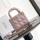 Mini Lady Dior Bag M0505