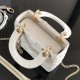 Mini Lady Dior Bag M0505