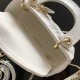 Mini Lady Dior Bag M0505