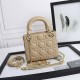 Mini Lady Dior Bag “High-end grade” M0505