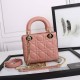 Mini Lady Dior Bag M0505