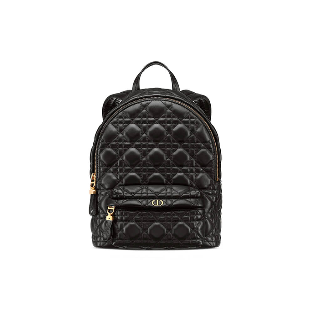 SMALL DIOR BACKPACK 