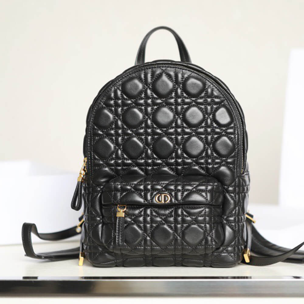 SMALL DIOR BACKPACK 