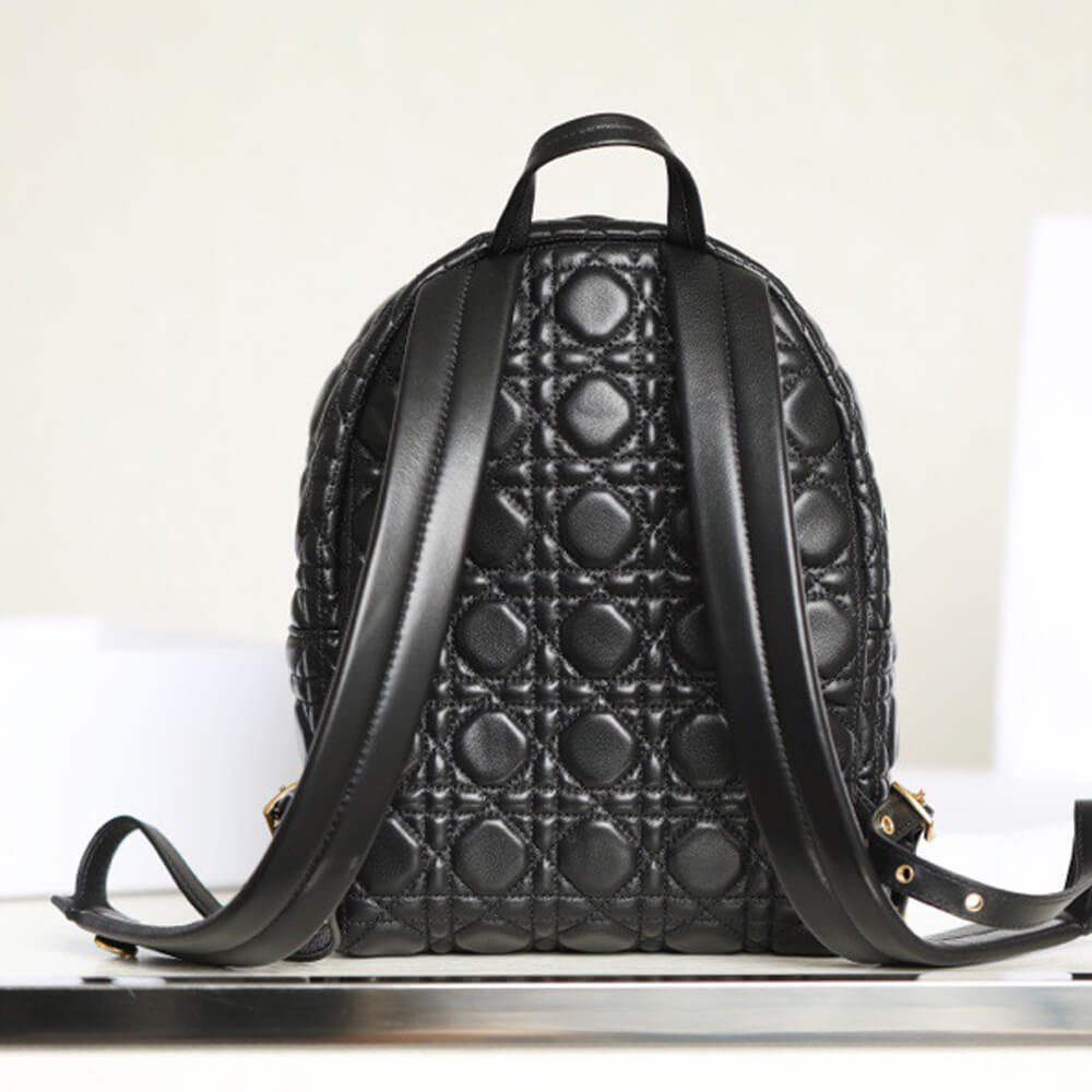 SMALL DIOR BACKPACK 