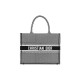 SMALL DIOR BOOK TOTE M1296