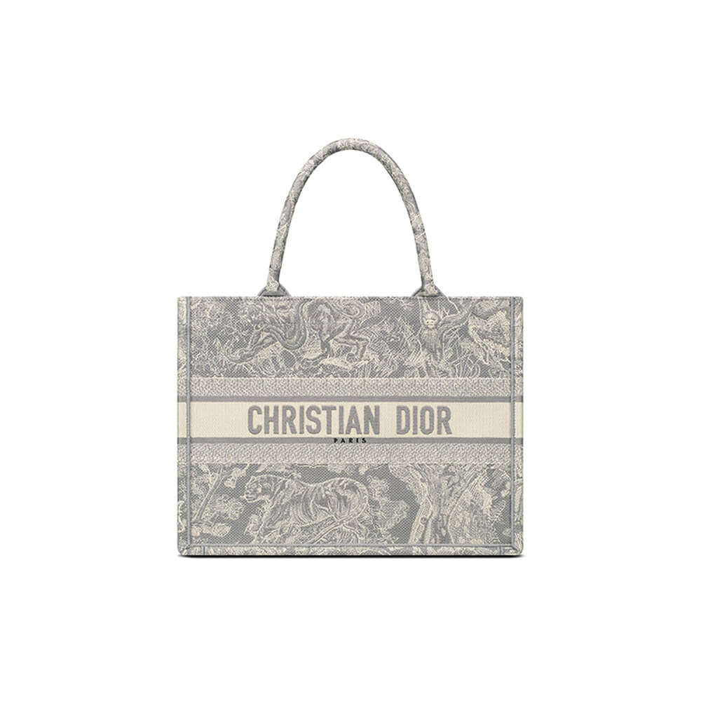 SMALL DIOR BOOK TOTE 