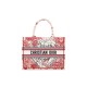 SMALL DIOR BOOK TOTE M1296ZRHT_M927