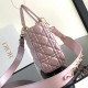 Small Lady Dior My ABCDior Bag M0538