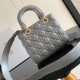 Small Lady Dior My ABCDior Bag M0538