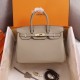 HERMES BIRKIN BAG 25 