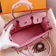 HERMES BIRKIN BAG 25 