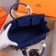 HERMES BIRKIN BAG 25 