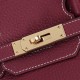 HERMES BIRKIN BAG 25 