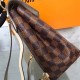 LV Clapton Backpack N42259