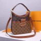 LV Hobo Dauphine PM Handbag M45194