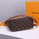 LV Hobo Dauphine PM Handbag M45194