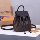 LV Montsouris BB Backpack M45516