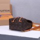 LV Montsouris BB Backpack M45502