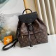 LV Montsouris PM M45515