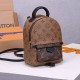 LV Palm Springs Mini Backpack M44872