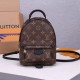 LV Palm Springs Mini Backpack M44873